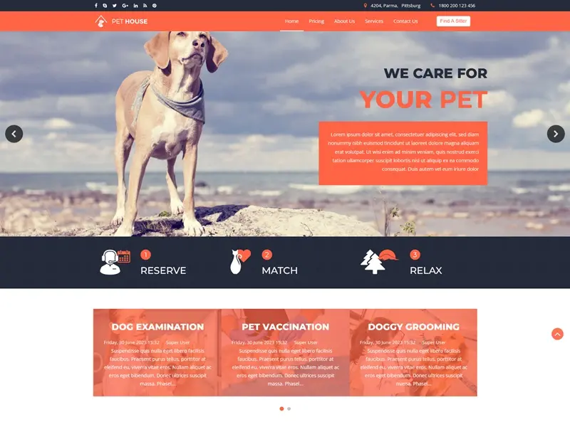 Pet Care Service Free Joomla Template