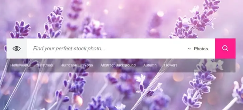 buy stock photos for website